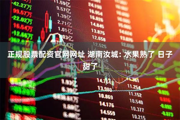 正规股票配资官网网址 湖南汝城: 水果熟了 日子甜了
